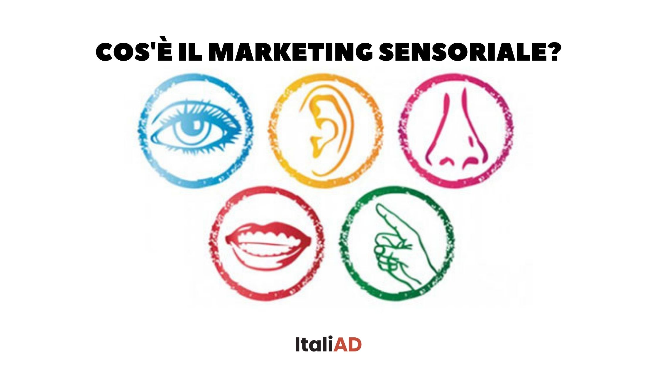 Scopri di più sull'articolo Cos’è il marketing sensoriale?